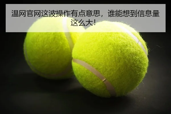 wen-wang-guan-wang-zhe-bo-cao-zuo-you-dian-yi-si-shui-neng-xiang-dao-xin-xi-liang-zhe-me-da-2-445.jpg
