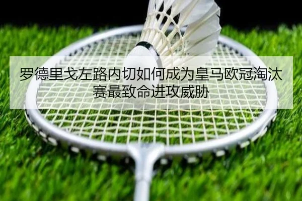 img_1779487361952_3555_1_994.jpg