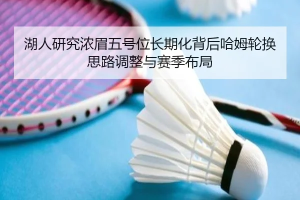 湖人研究浓眉五号位长期化背后哈姆轮换思路调整与赛季布局