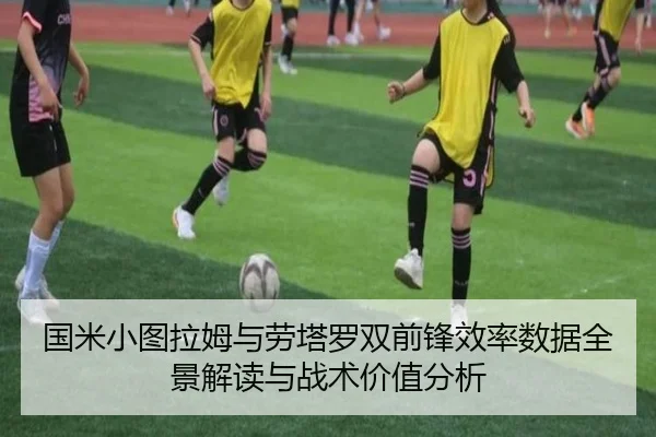 国米小图拉姆与劳塔罗双前锋效率数据全景解读与战术价值分析